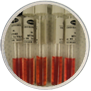 GMSL- Control- Glucose- Maltose- Sucrose- Lactose-