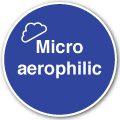 Microaerophilic