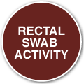 Rectal Swab